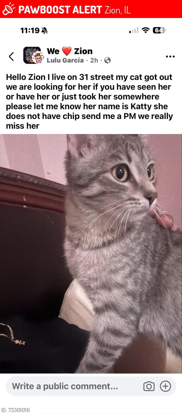 Lost Female Cat last seen 31st and Emmaus Zion ill, Zion, IL 60099