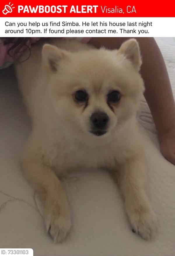 Lost Male Dog last seen Neighborhood behind targer dinuba blvd, Visalia, CA 93291