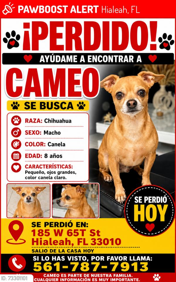 Lost Male Dog last seen Hialeah, Hialeah, FL 33018