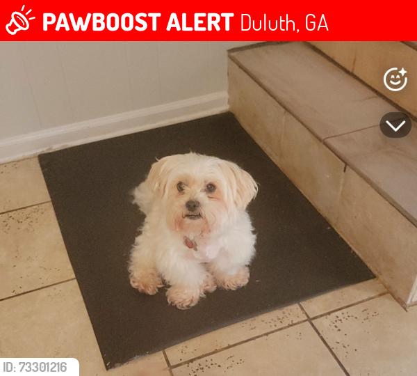 Lost Male Dog last seen Near Buckingham pl duluth, Duluth, GA 30096