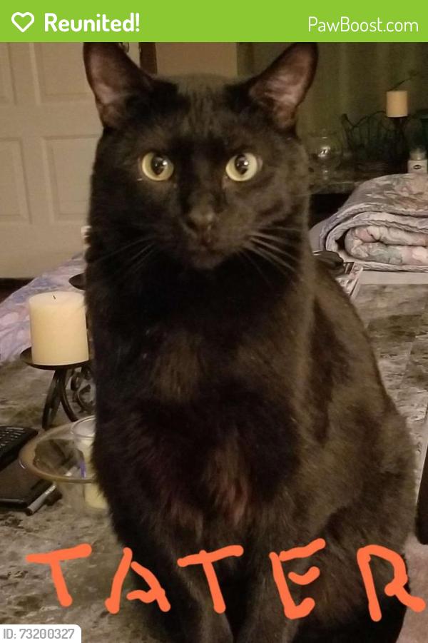 Reunited Male Cat last seen Douglas County Library, Douglasville, GA 30134