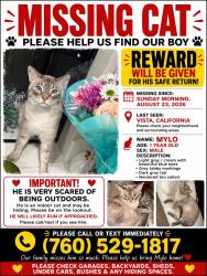 Lost Male Cat last seen Vista, Vista, CA 92084