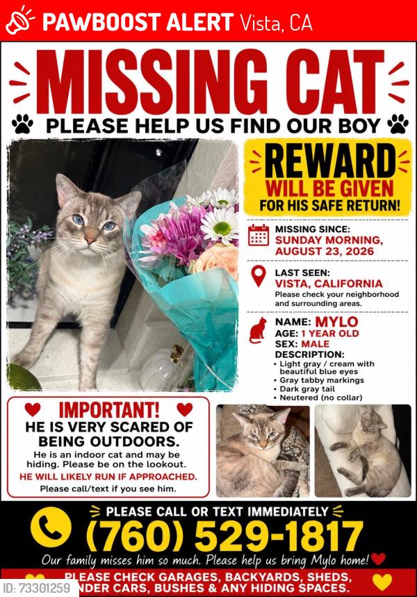 Lost Male Cat last seen Vista, Vista, CA 92084