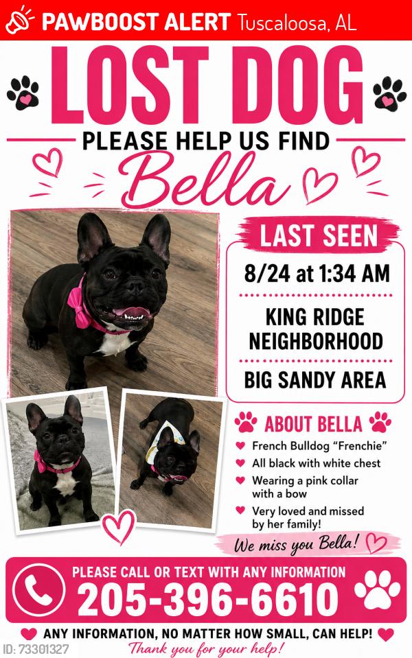 Lost Female Dog last seen Kings Ridge, Tuscaloosa, AL 35405