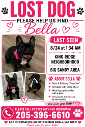 Lost Female Dog last seen Kings Ridge, Tuscaloosa, AL 35405