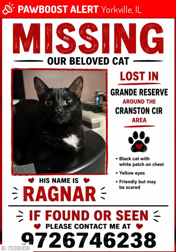 Lost Male Cat last seen Cranston and American way, Yorkville, IL 60560