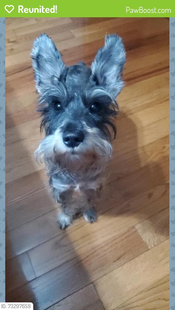 Reunited Female Dog last seen Between 13ave and 14ave, Queens, NY 11356