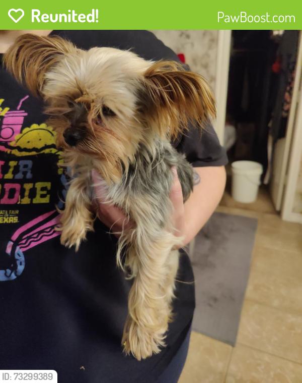 Reunited Unknown Dog last seen Finlee lane and Cool Meadows, Red Oak, TX 75154