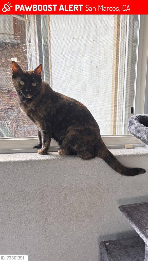 Lost Female Cat last seen Bennet, San Marcos, CA 92069