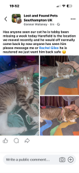 Lost Male Cat last seen Harefield, Southampton, England SO18 5GX