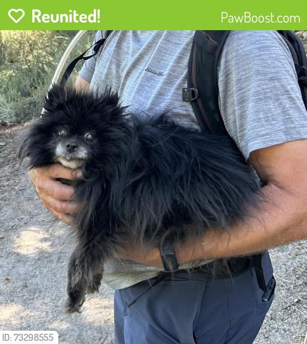 Reunited Female Dog last seen Grizzly campground by lake Davis CA, La Honda, CA 94020