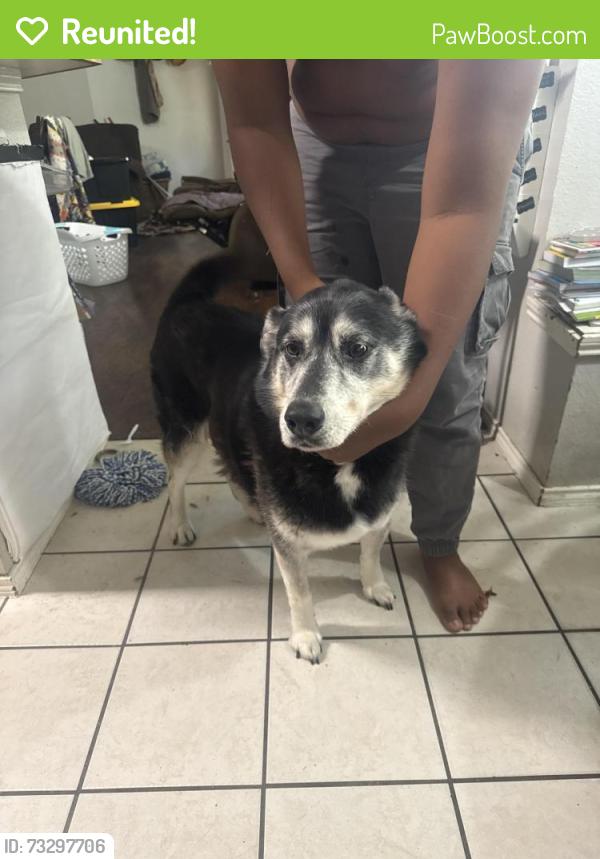 Reunited Male Dog last seen Creekside neighborhood, Falls neighborhood, Anna, TX 75409