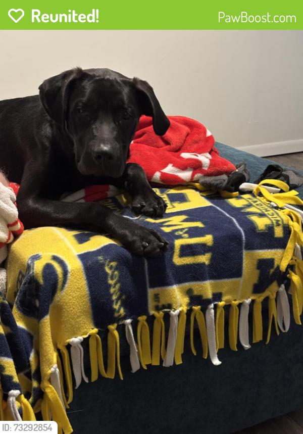 Reunited Female Dog last seen M-66 and M-78, Battle Creek, MI 49014