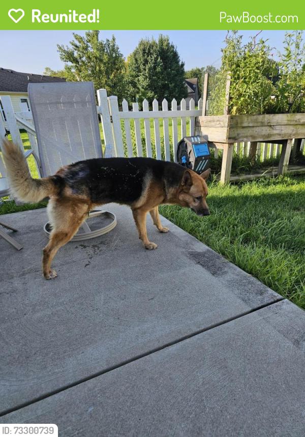 Reunited Male Dog last seen 21st and Country Club Road, Indianapolis, IN 46234
