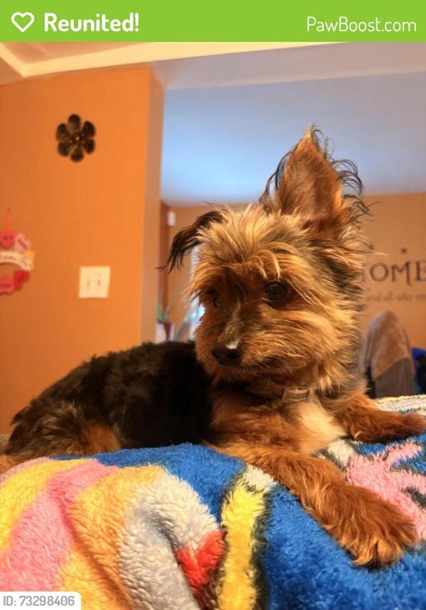 Reunited Male Dog last seen CVS and Wendy's, East Orange, NJ 07018