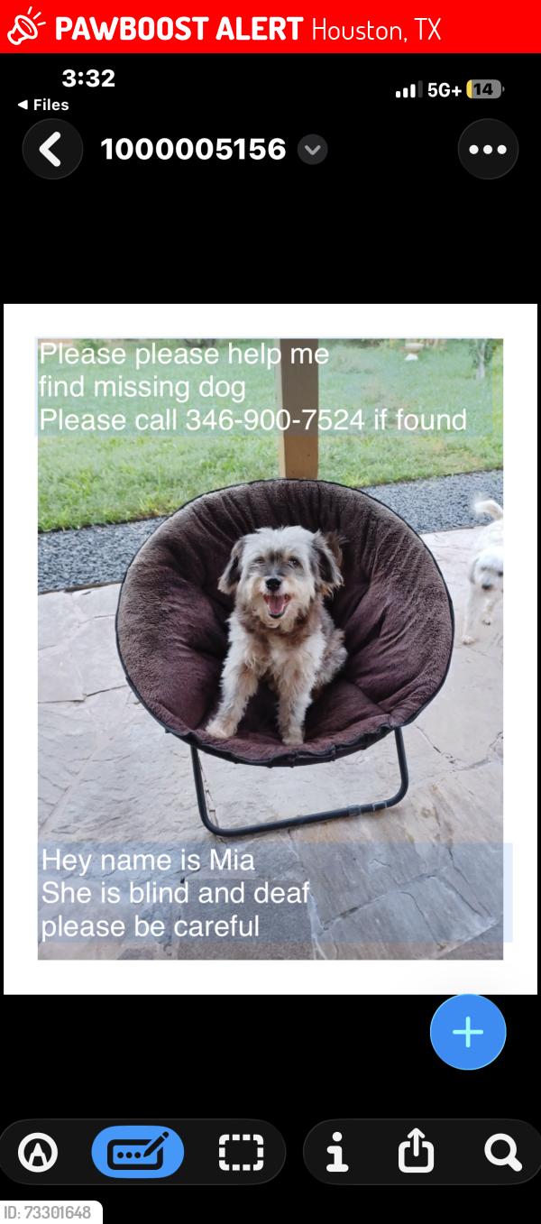 Lost Female Dog last seen Abide dr, Houston, TX 77085