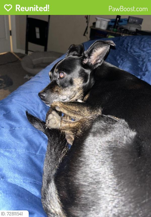 Reunited Female Dog last seen Near Appalachian Trail, Edmond, OK 73003, USA, Edmond, OK 73003