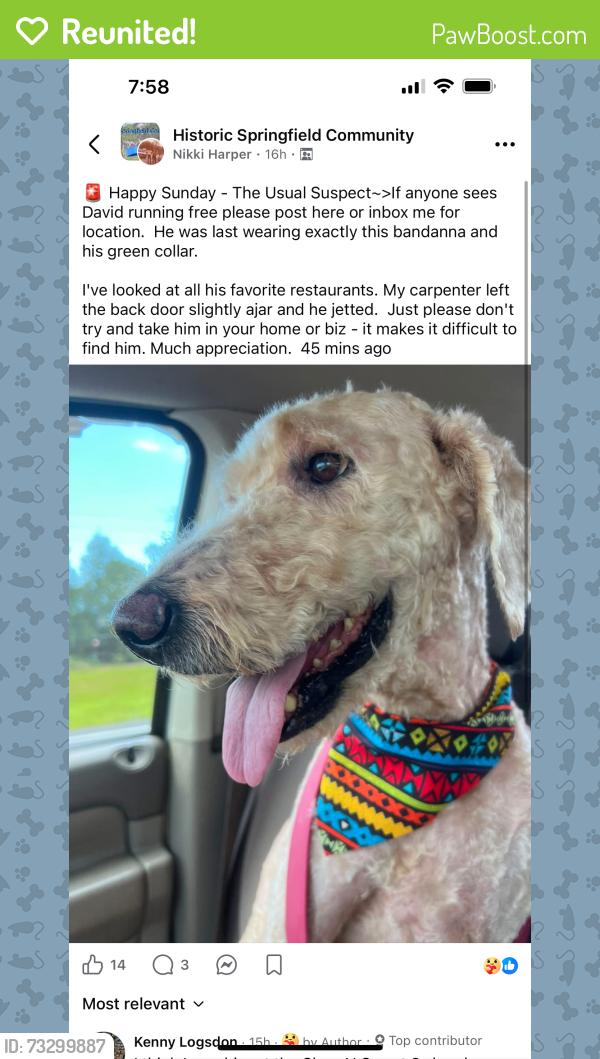Reunited Male Dog last seen Near Block of 4th & North Market, Jacksonville, FL 32206
