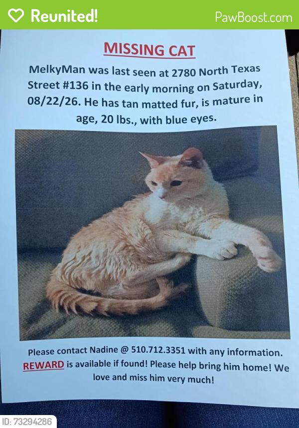 Reunited Male Cat last seen Across from Walmart in Fairfield, Fairfield, CA 94533