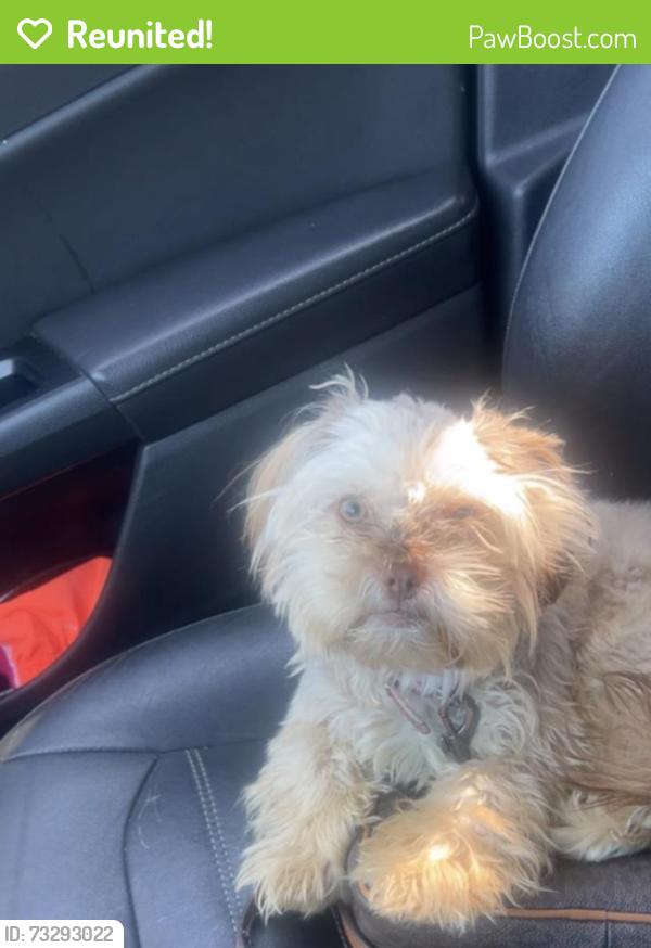 Reunited Female Dog last seen West end of davenport, Davenport, IA 52804