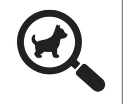 Found/Stray Male Dog last seen Martin Luther King Blvd and Hubert Avenue, Los Angeles, CA 90008
