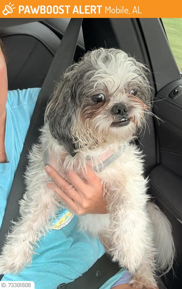 Found/Stray Male Dog last seen Grelot Rd and Stone Hedge Dr, Mobile, AL 36609