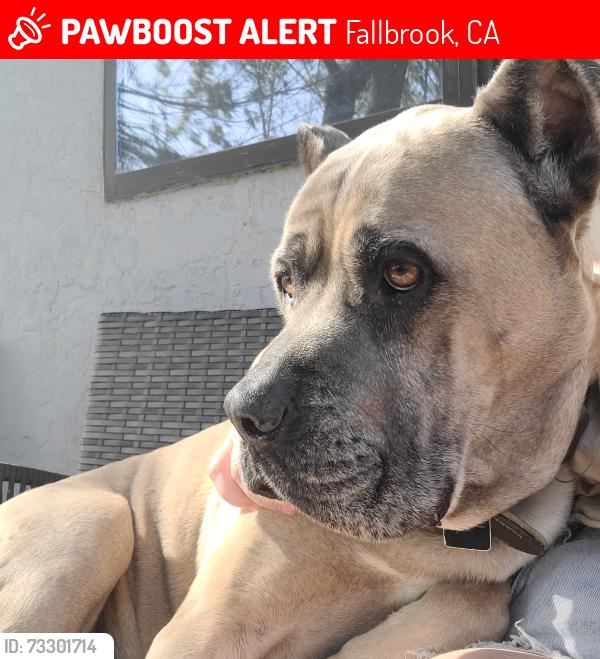 Lost Male Dog last seen Off 76 and Pala Rd, Fallbrook, CA 92028