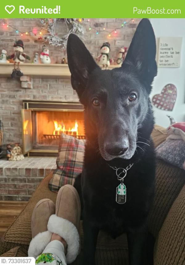 Reunited Male Dog last seen Park Cobblestones Spring subdivision, Avon, IN 46123