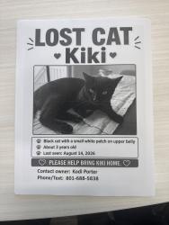 Lost Female Cat last seen spanish trails, Spanish Fork, UT 84660