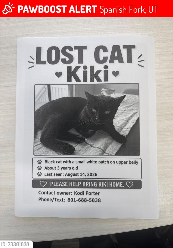 Lost Female Cat last seen spanish trails, Spanish Fork, UT 84660
