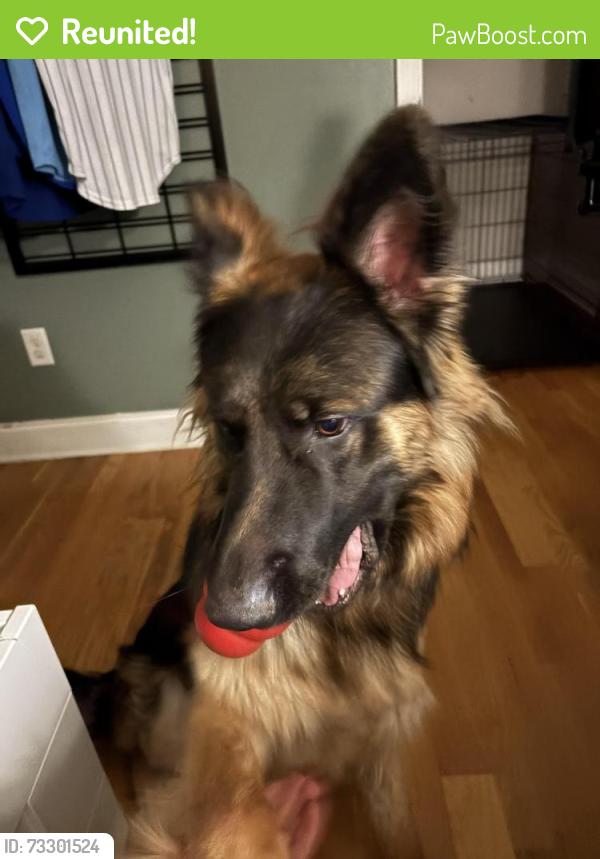 Reunited Male Dog last seen Near murphy hill rd, Weaverville, NC 28787