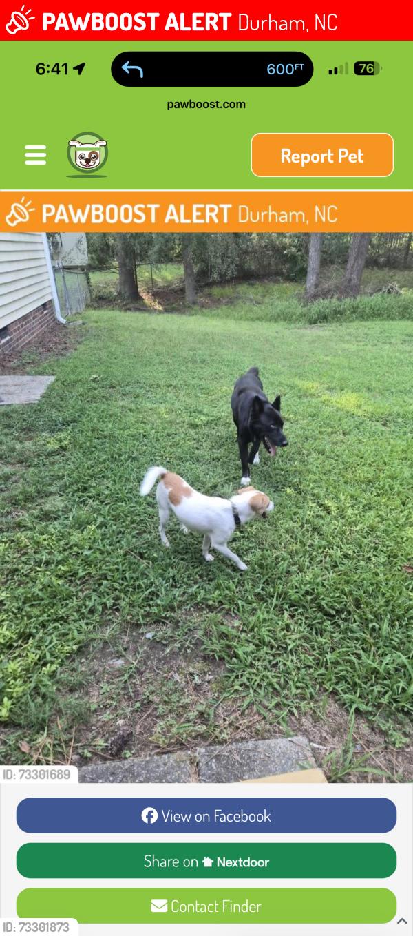 Lost Male Dog last seen Near Sweet Gum Court, Durham, NC 27703