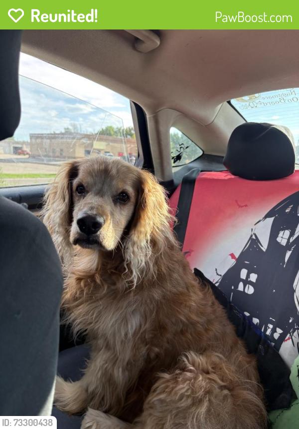 Reunited Female Dog last seen Wellington, CO 80549, USA, Wellington, CO 80549