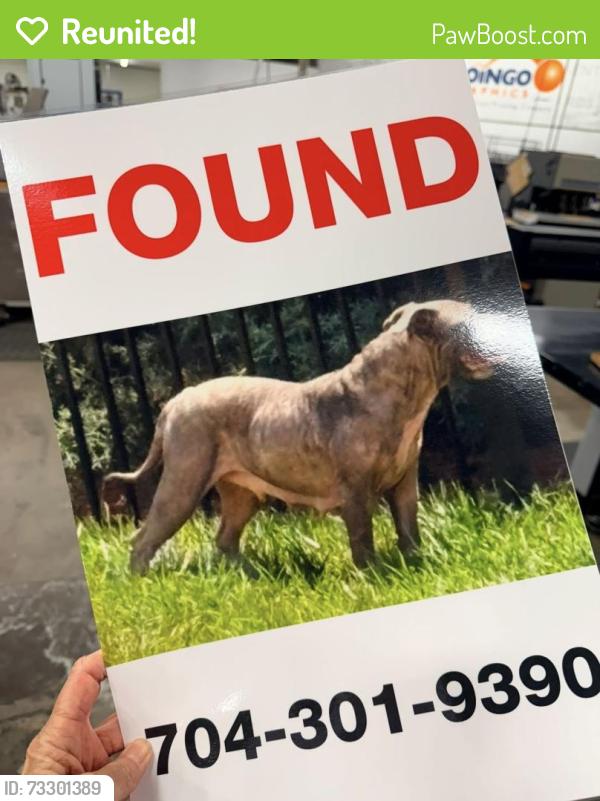 Reunited Female Dog last seen Davidson Downs neighborhood, Mooresville, NC 28115