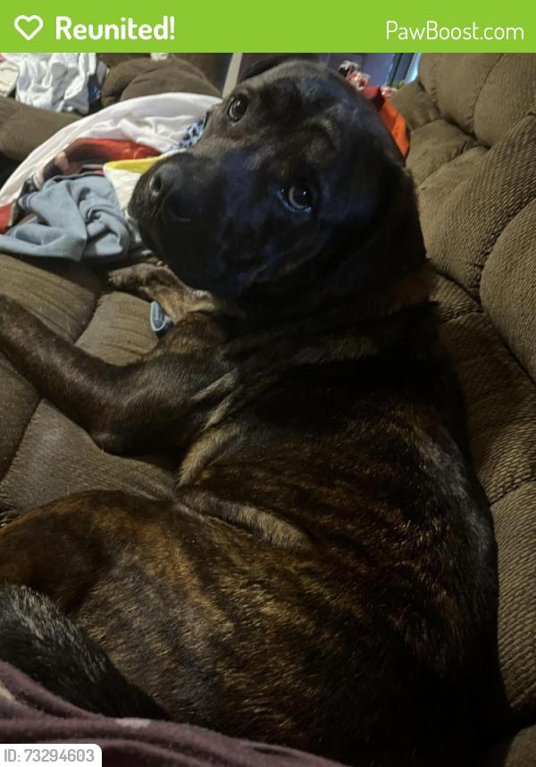 Reunited Male Dog last seen Toal rd, hwy 56, Spartanburg County, SC 29335