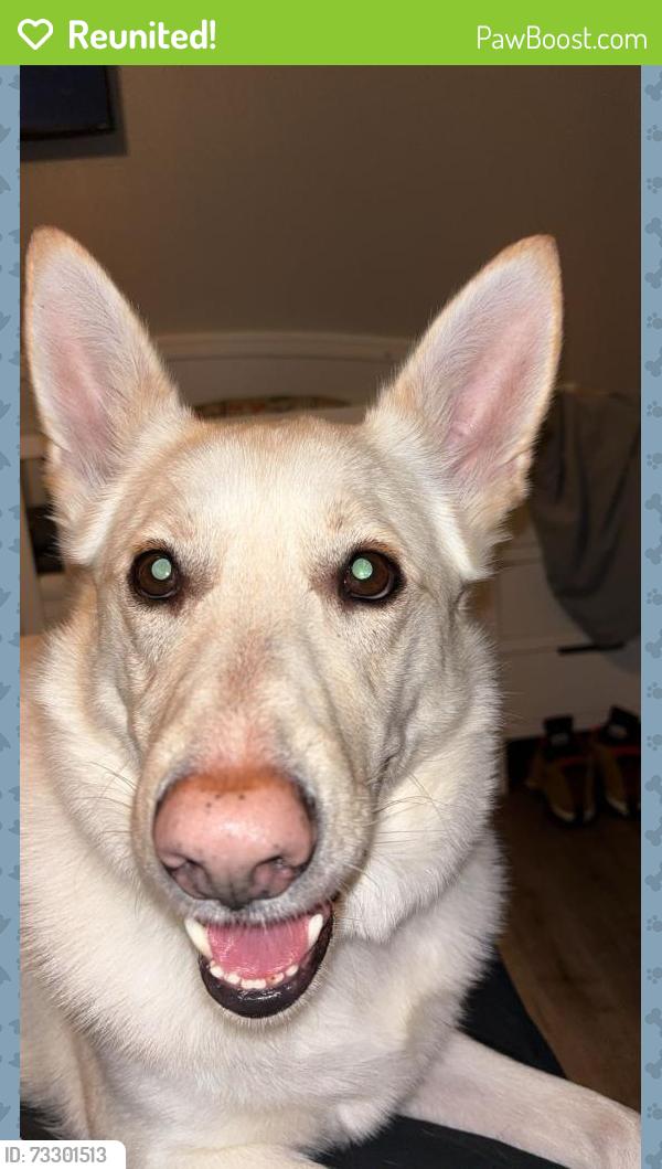 Reunited Male Dog last seen N. MacArthur & Britton Rd, Oklahoma City, OK 73132