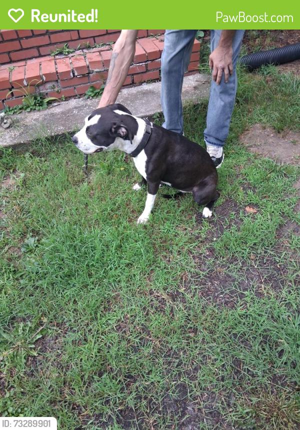Reunited Female Dog last seen Near 3rd Street Riverdale, maryland 20737, East Riverdale, MD 20737