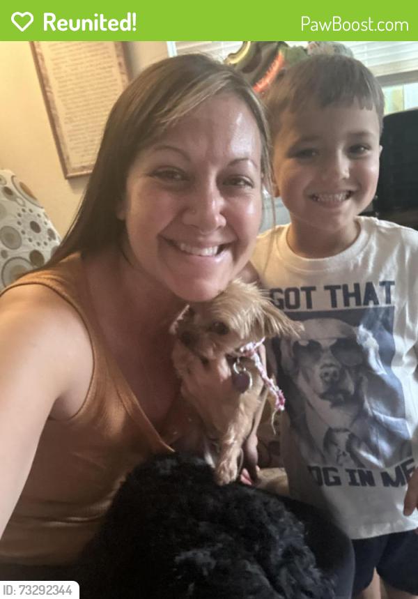 Reunited Female Dog last seen Drake and Leisure, Fort Collins, CO 80525