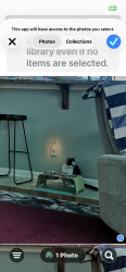 Found/Stray Female Cat last seen White Kestrel and Cashew drive, Raleigh, NC 27616