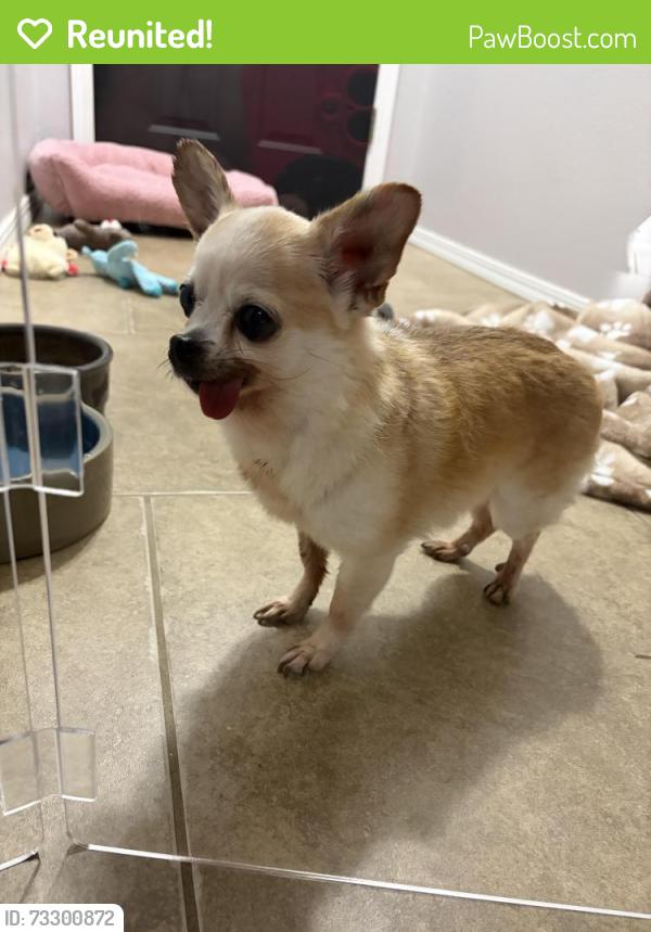 Reunited Female Dog last seen Churchill Park, Jenks, , OK 74037