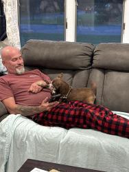 Reunited Male Dog last seen Near and S. Hope Chapel Rd, Jackson Township, NJ 08527
