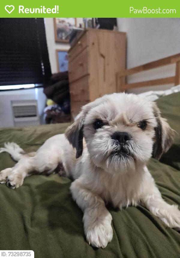 Reunited Male Dog last seen Fashion ave long beach, Long Beach, CA 90810