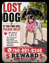 Reunited Female Dog last seen Dos Palmas Rd, Victorville, CA 92392, USA, Victorville, CA 92392