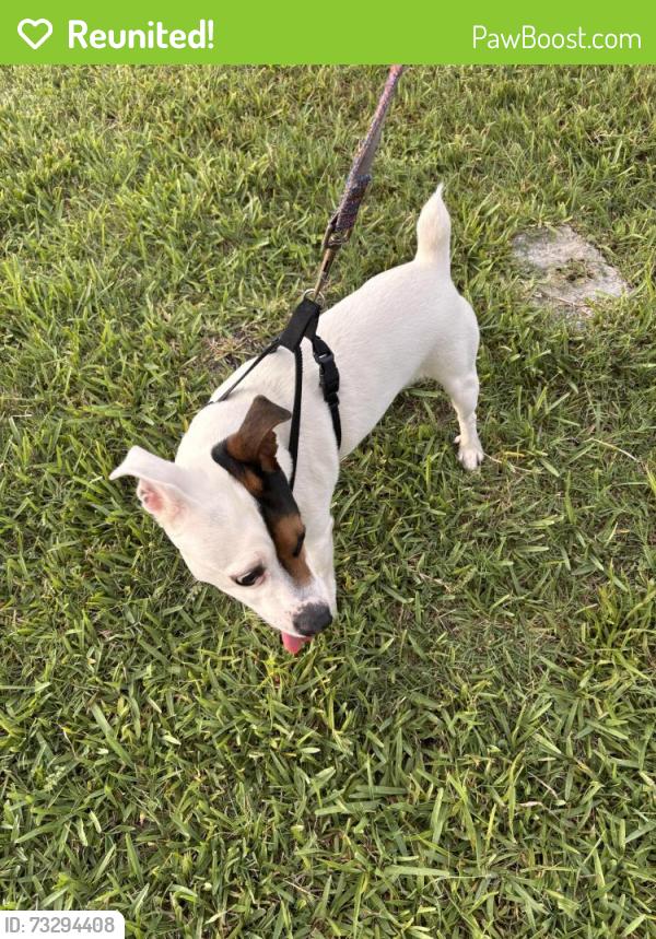 Reunited Male Dog last seen Taste of India, Melbourne, FL 32934