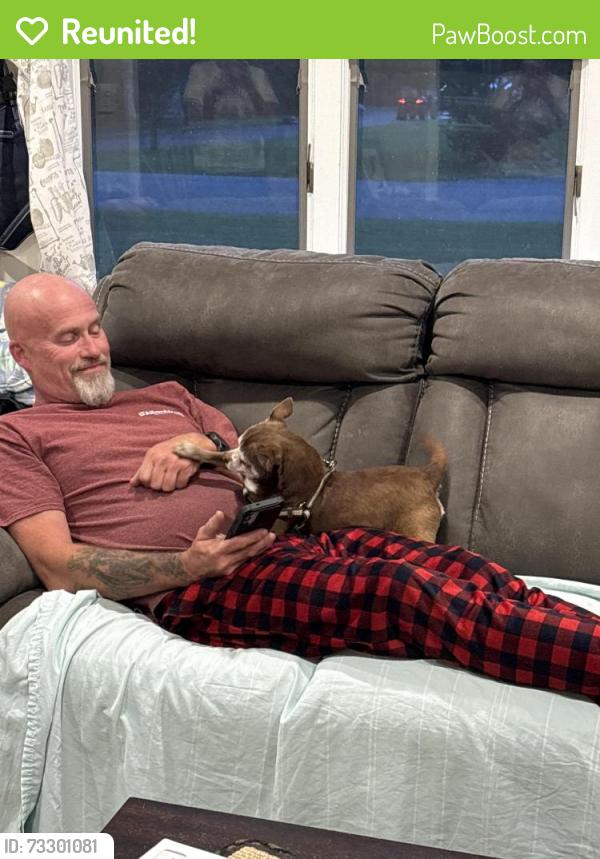 Reunited Male Dog last seen Near and S. Hope Chapel Rd, Jackson Township, NJ 08527
