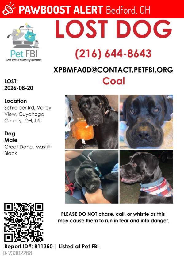 Lost Male Dog last seen Missing from Valley View, most recently seen in Bedford along Broadway near Columbus, could be ranging widely., Bedford, OH 44146