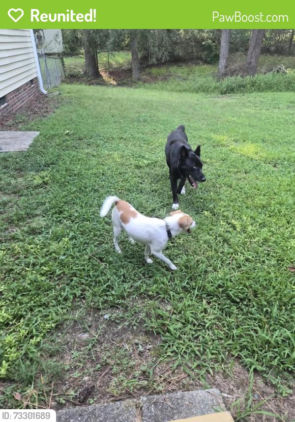 Reunited Unknown Dog last seen Whitby Ct, Durham, NC 27703