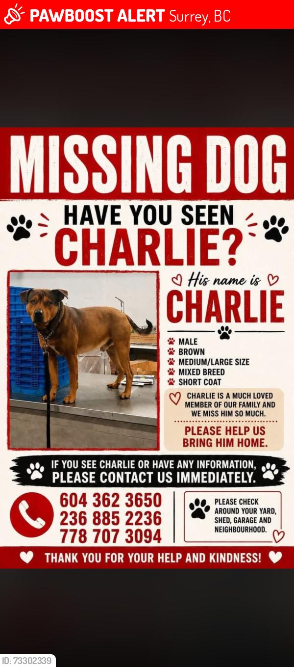 Lost Male Dog last seen Fire hse subs nordel way, Surrey, BC 