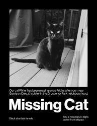 Lost Female Cat last seen Garrison Crescent and Isbister Street, Saskatoon, SK S7H 4B6