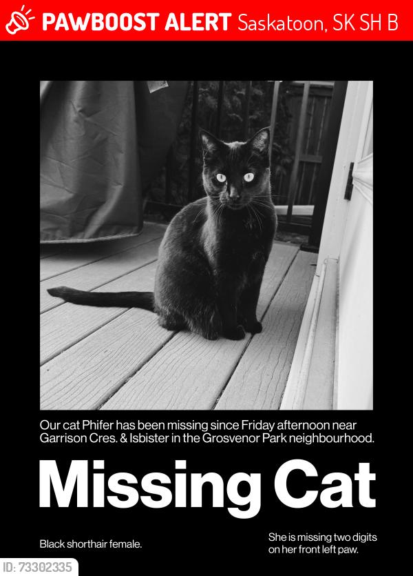 Lost Female Cat last seen Garrison Crescent and Isbister Street, Saskatoon, SK S7H 4B6